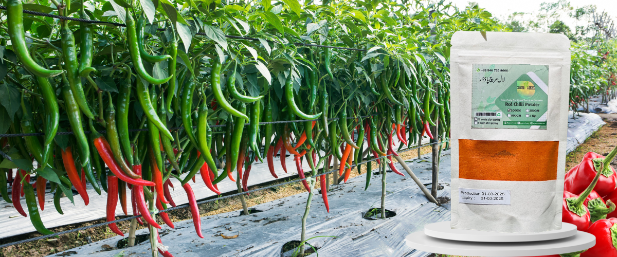 Organo Red Chilli Powder (250gm) — Bold Flavor, Pure Heat, 100% Natural red chilli powder