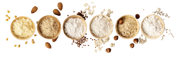 organo moringa powder