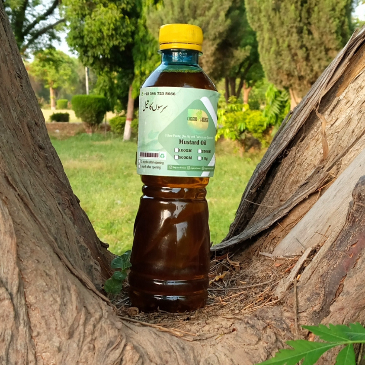 organo house mustard oil 1 l – cold pressed pure mustard oil for cooking, skin & hair Mustard Oil 1L